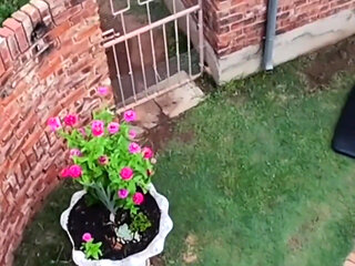 Caught My Neighbours Fucking When Flying with My Drone