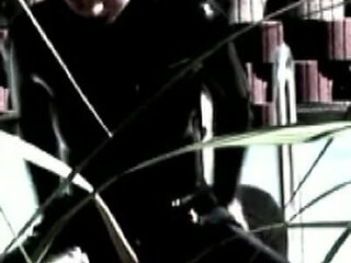 Trailer375