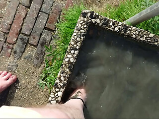 F&uuml_&szlig_e waschen am Strand von Horumersiel