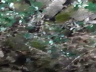 Public masturbation with IkaSmokS - Real hot and risky