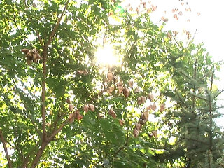 Gay love- Couple sex