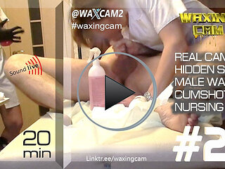 #26 Waxing Male