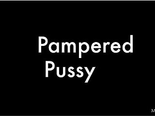 Pampered Pussy 2 - Stacy Cruz