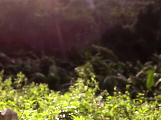 Outside with Me