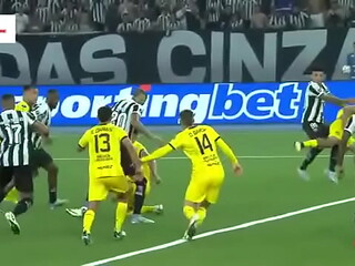pe&ntilde_arol pide bija y botafogo le da anal