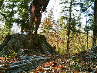 My Stepmom in the Middle of the Woods