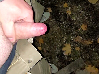 Pissing and cumming.