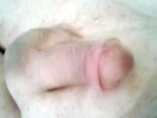 Small Cock Handjob Massage