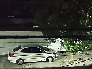 Fucks with Lover in the Car in Front of the House and Comes Back Full of Cum Smiling