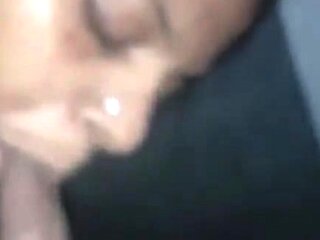 Pov amateur blowjob action