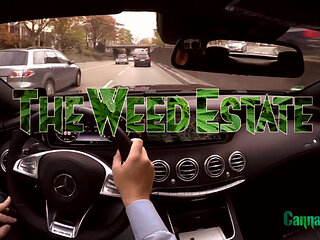 Tattooed and pierced beauty gets spitorasted in threesome