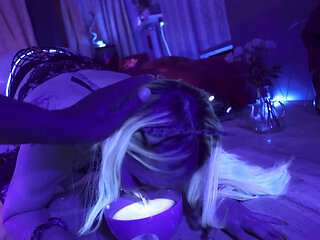 Miauw Some More for Me