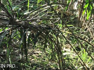 African girl in the bush gets fucked by a bush man