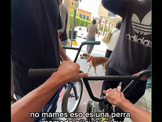 Se detonan a daks traste grande se le vetodo el ogte