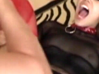 Wild Anal Parade Vol.1