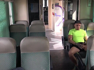 Fucked barrback in trian by Leo Rex