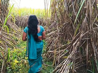 Today I kicked my wife's ass in a sugarcane field and shot an Indian sex video