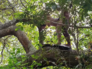 AMIGO MIM PEGOU NA FLORESTA E MIM METE A PICA BEM FORTE DANDO UMA GOSADA DENTRO DO MEU TOBA