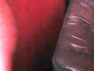 Tina's Sofa Compilation