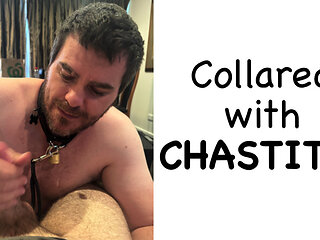 Pup giving me a blowjob and showing off