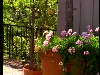 Laura and Tony Each Other