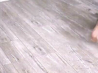 Housepet Walk: Bark, Beg, Fetch & Shoe Licking