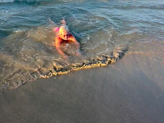Try Not to Wet My Hair While Play with the Waves