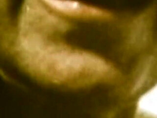 Zandy the Wild Lover