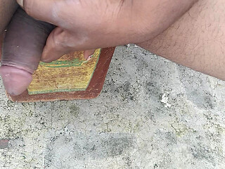 I am going to the terrace of my house, taking out my penis and masturbating in a tree to ejaculate.