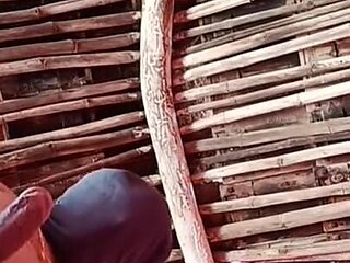 Desi Sex Video of a Village Couple Fucking Romantically
