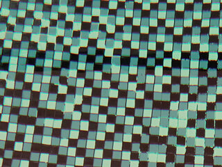 Tattooed Axel Abyss Having An Outdoor Fisting Session