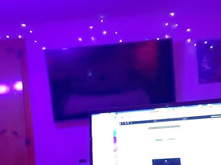 Last Of The StinkBugs For The Night