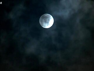 x1xCC6BA5AF5251AD753B