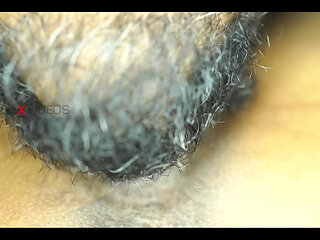 Desi Couple Close up Pussy Licking