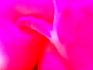 PAWG Babe Hard Doggystyle Fucked