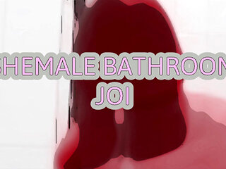 AUDIO ONLY - Shemale Brandy directs your strokes in the bathroom