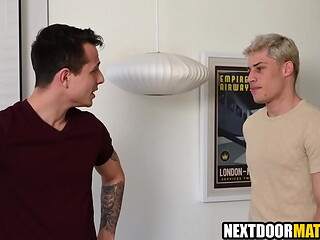 Gay housesitters having fun