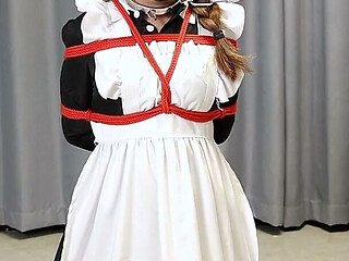 The Maid's Various Restraints