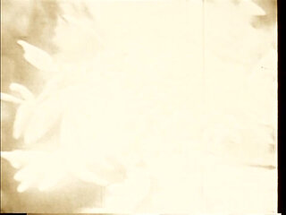 On the Grass Burning Foliage