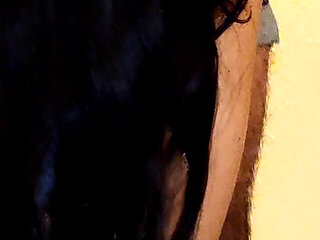 Indian Desi Neighbour Stepaunty Fucked by Lover in Hotel Room with Big Penis