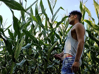 Summer Jerk off in Corn Field - Twitching Cumming Cock