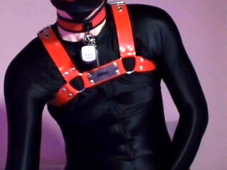 Remote Controlled Puppy Whimpers While Jerking off