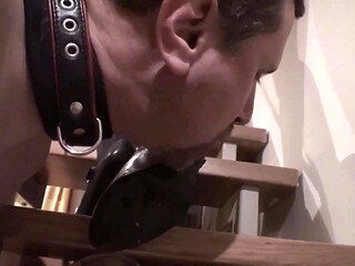 Pet played slave worships femdoms shoes