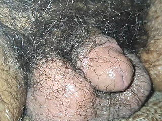 My friend's dick is small and hairy
