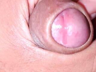 Desi lund rajasthani lund