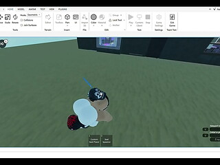 Roblox sex game