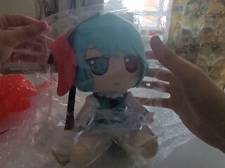 Kogasa fumo unboxing