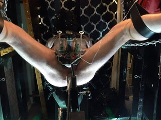 Electro Venus Cock Milking and Machine Fuck in the Leather Sling