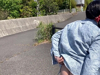 No. 227: Exposing My Pussy Along the Road