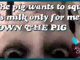 The Pig Wants to Unload Its Milk Only for Me